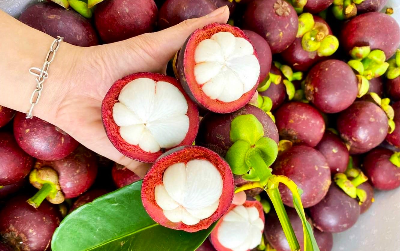 trái cây Bảo Lộc Lâm Đồng