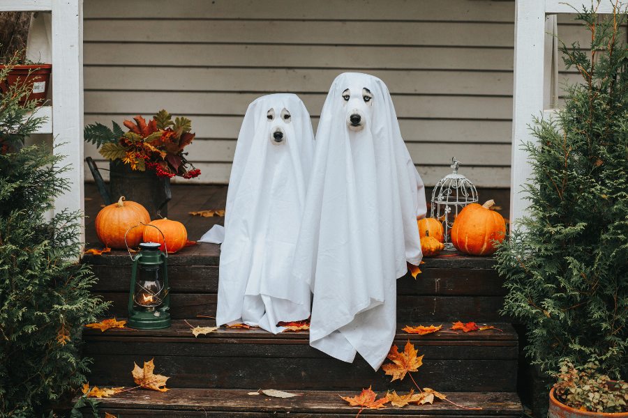 ý tưởng trang trí Halloween dễ thương