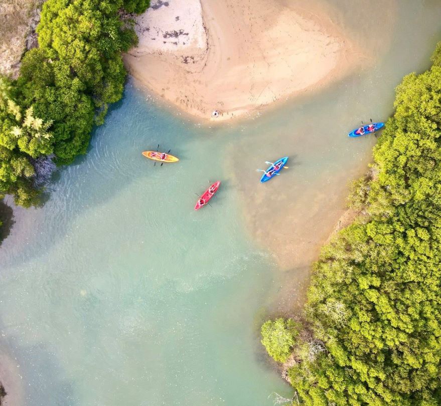Trekking rừng ngập mặn 