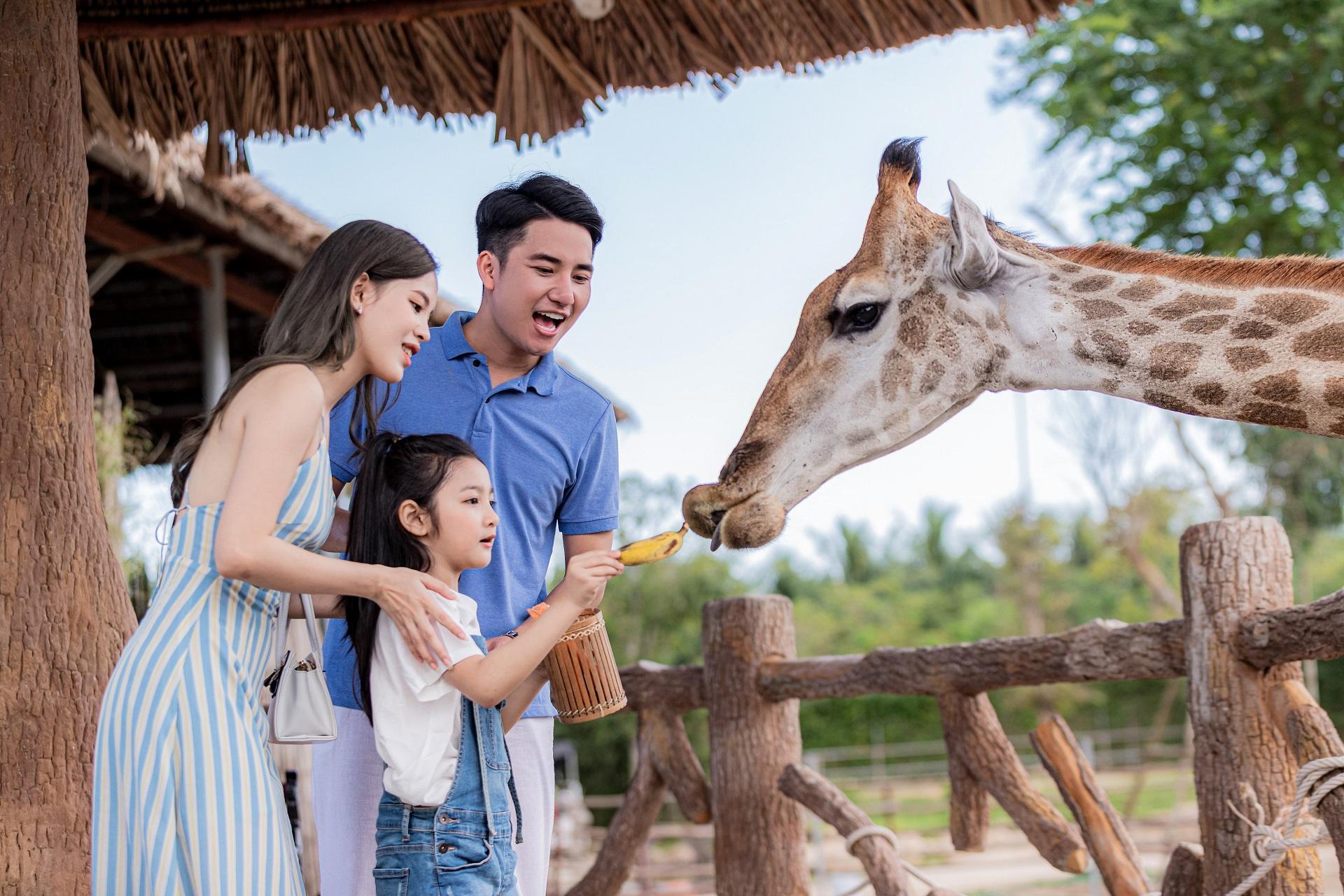 Tết sum vầy Condotel