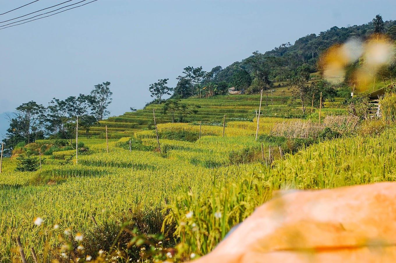 Vẻ đẹp ruộng bậc thang tại Hồng Thái