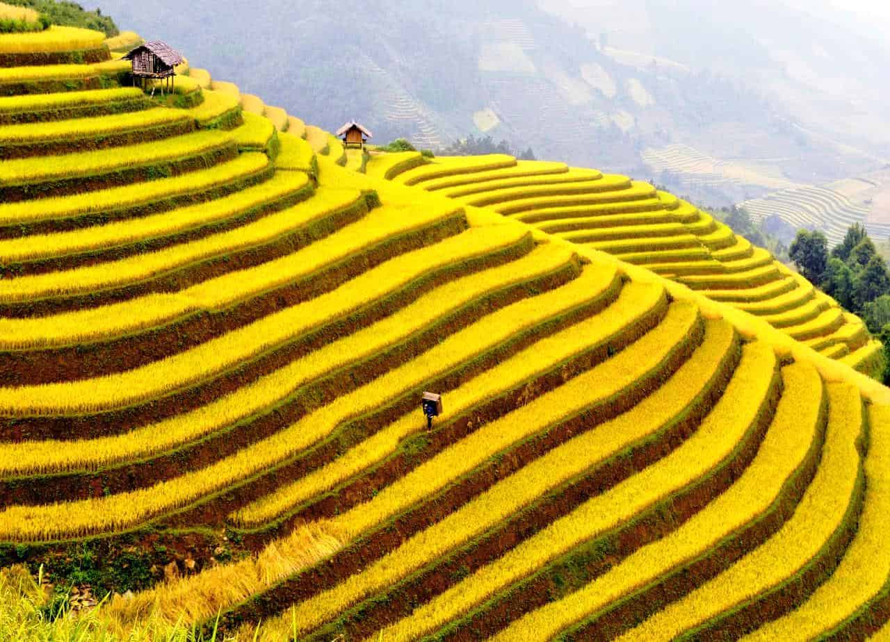 Vietnam countryside