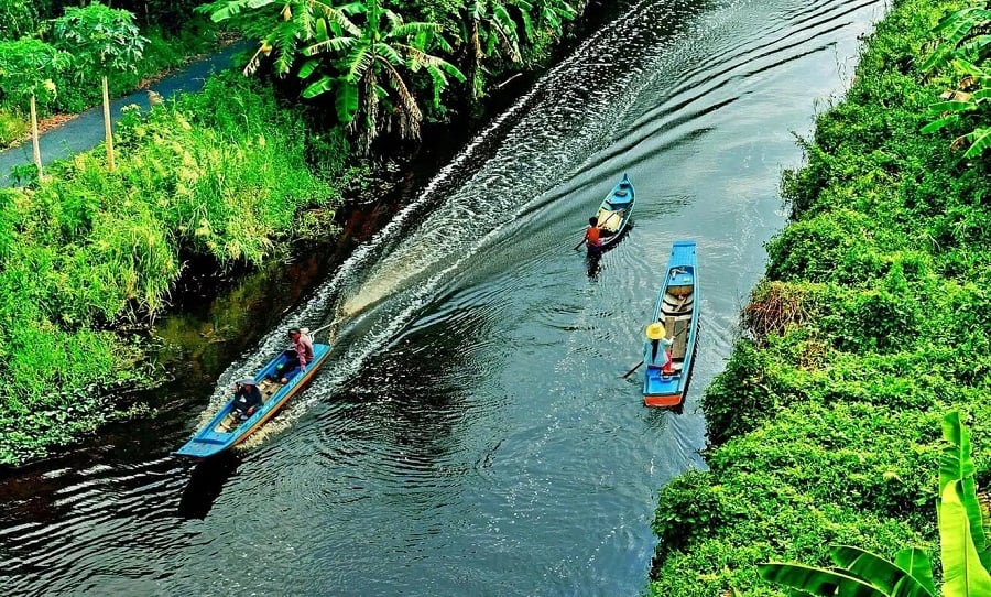 Vietnam jungles