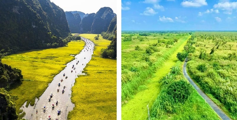 Vietnam nature