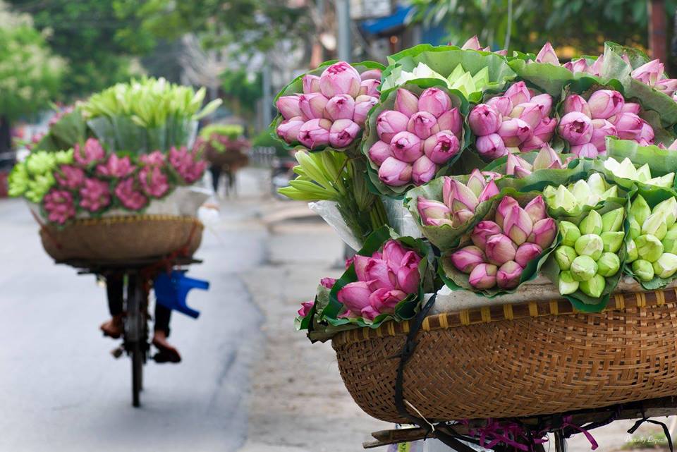 Vietnam in weather in July