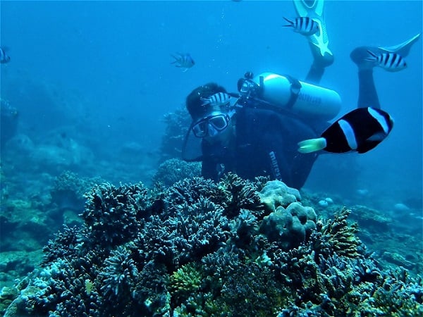 Vinpearl Discovery Wonder World Phu Quoc