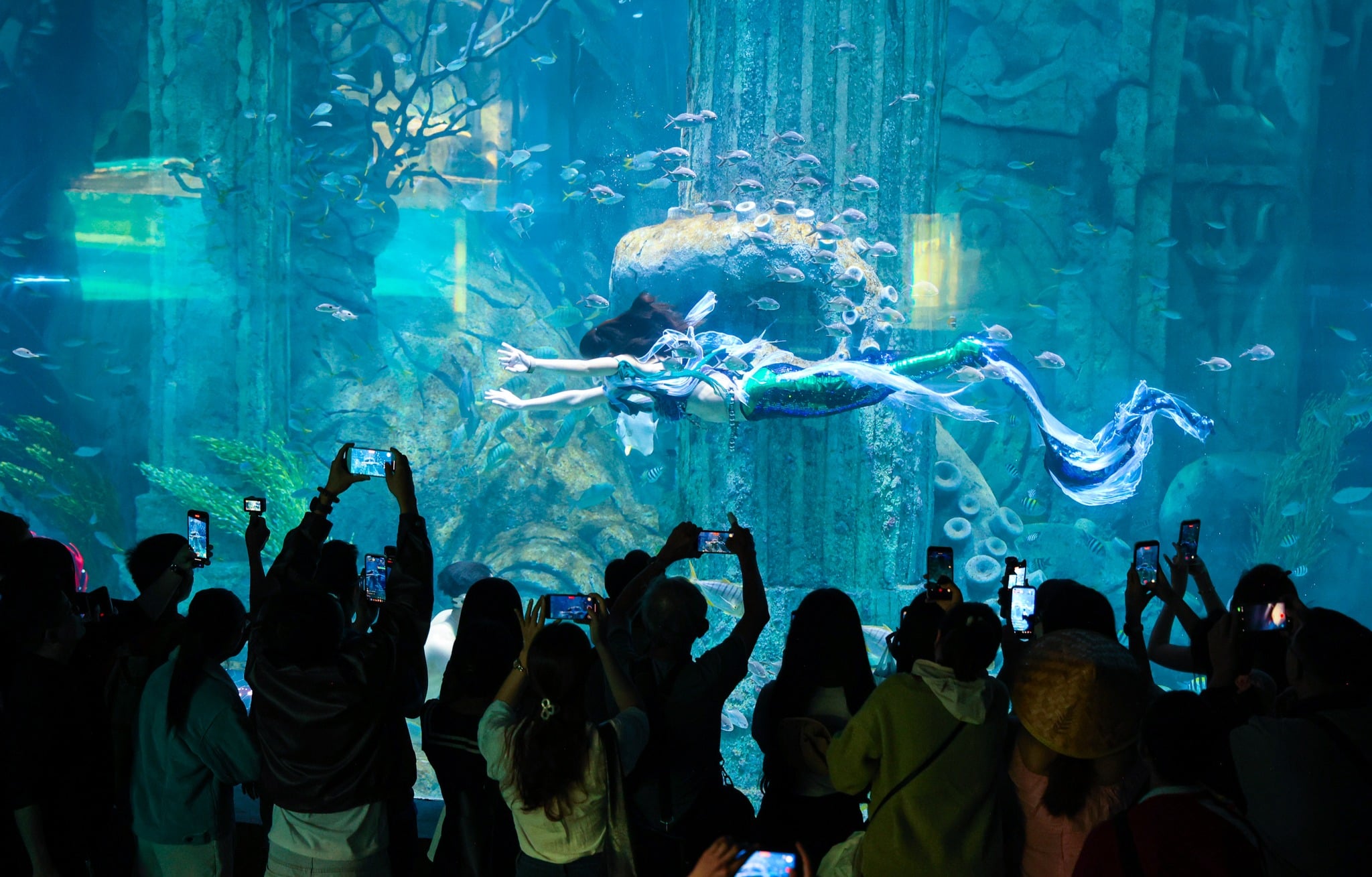 VinWonders Nha Trang Aquarium