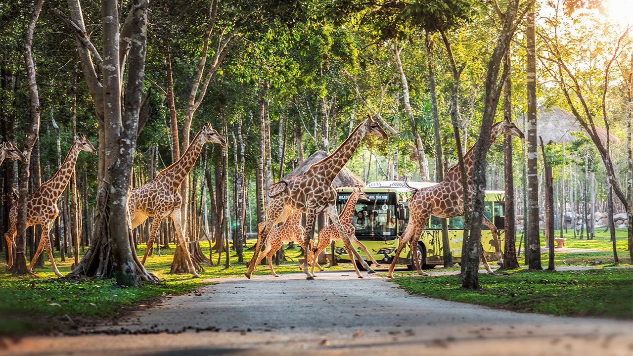 Vinpearl Safari Phu Quoc