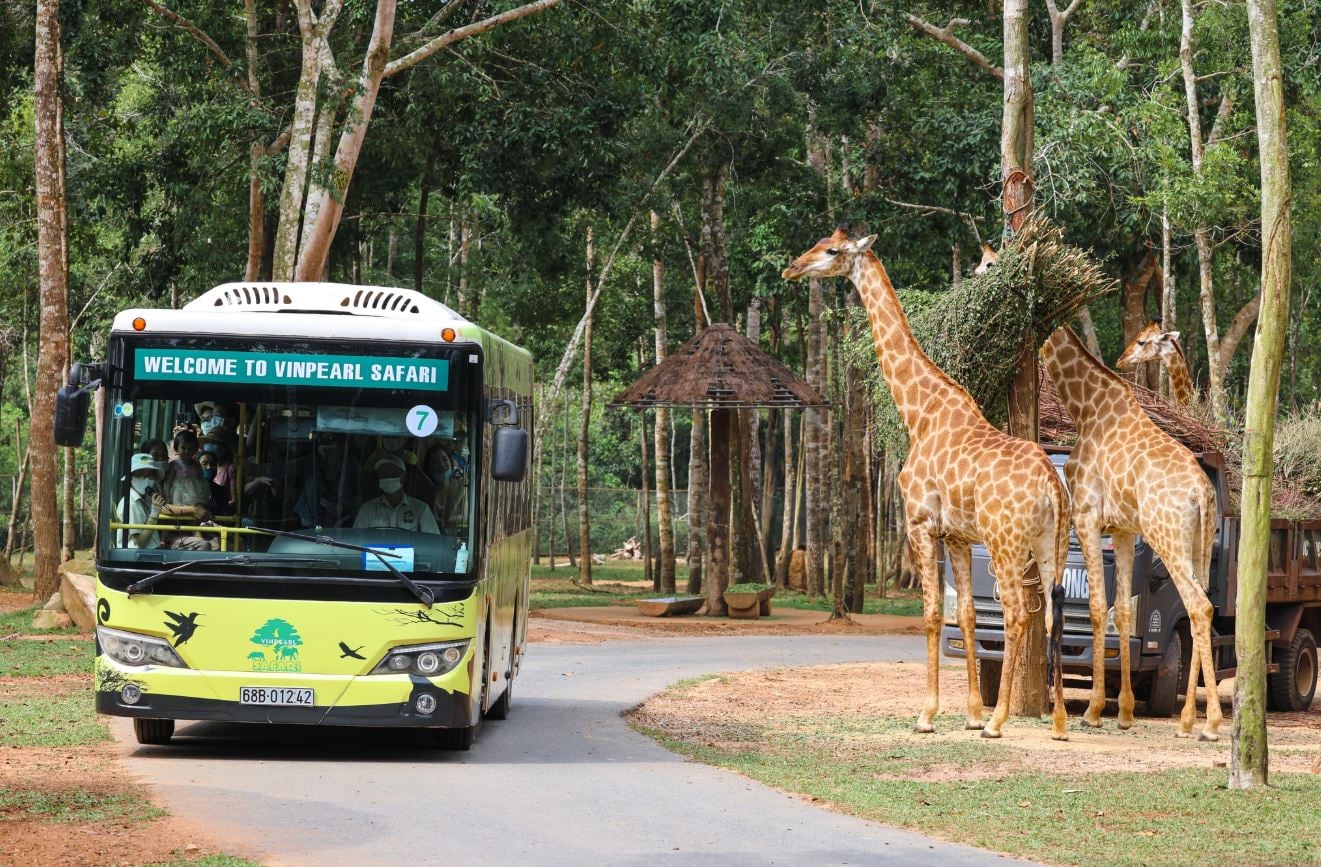 Vinpearl Safari Phú Quốc