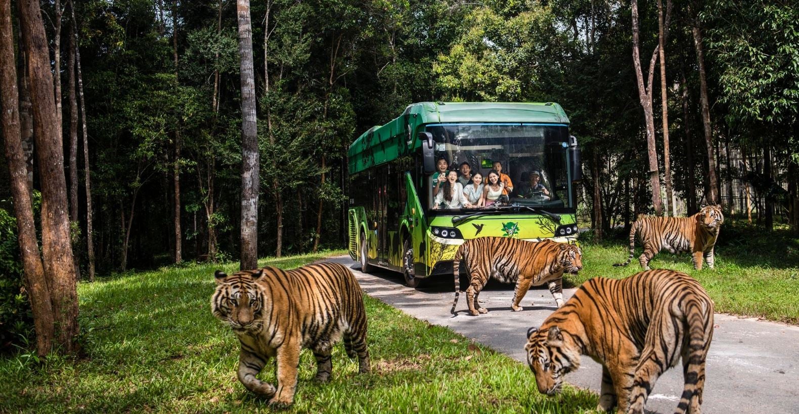 Nhốt người thả thú tại Vinpearl Safari Phú Quốc
