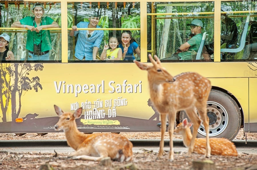 Vinpearl Safari Phu Quoc ticket