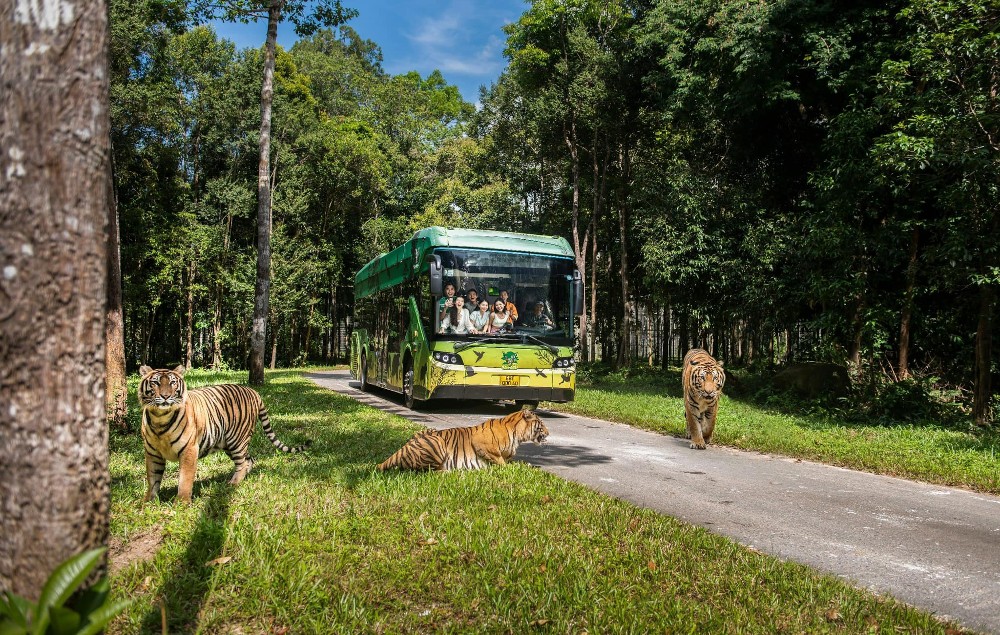 Vinpearl Safari Phu Quoc