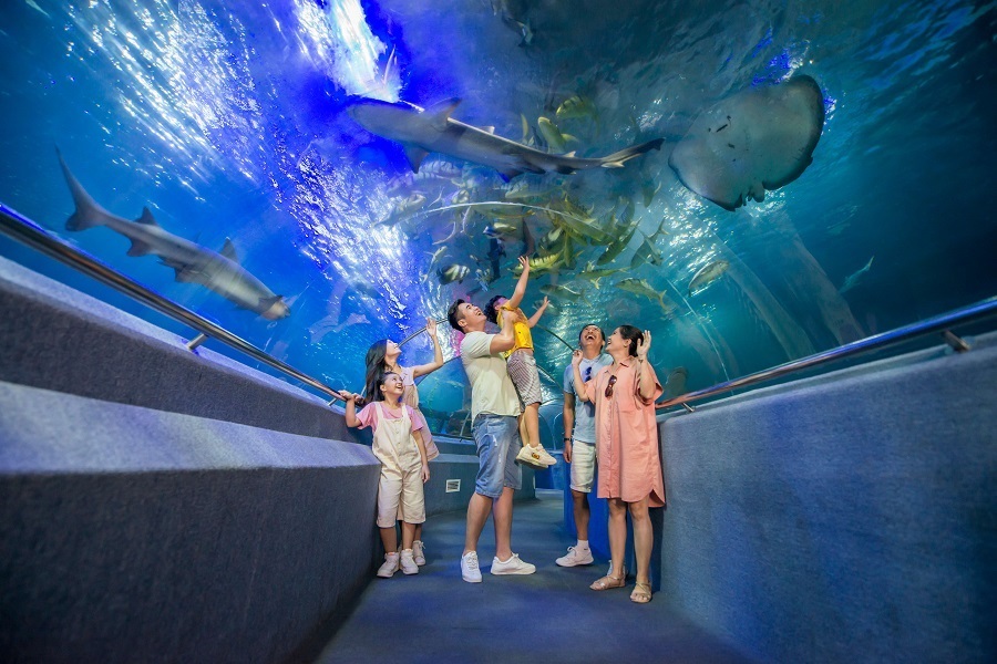 Vui chơi thỏa thích tại VinWonders Nha Trang