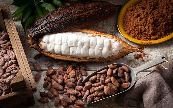 vườn cacao Mười Cương