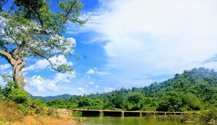 Vườn Quốc gia Vũ Quang - Kinh nghiệm khám phá CHI TIẾT