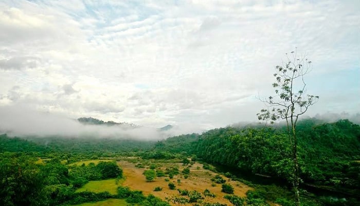 vườn quốc gia Vũ Quang 