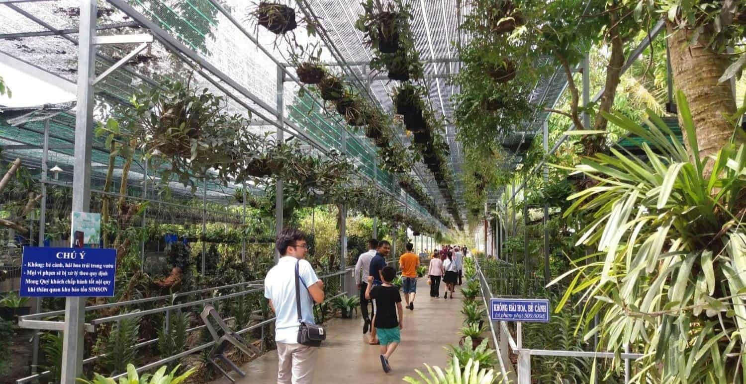 Vườn sim Phú Quốc 