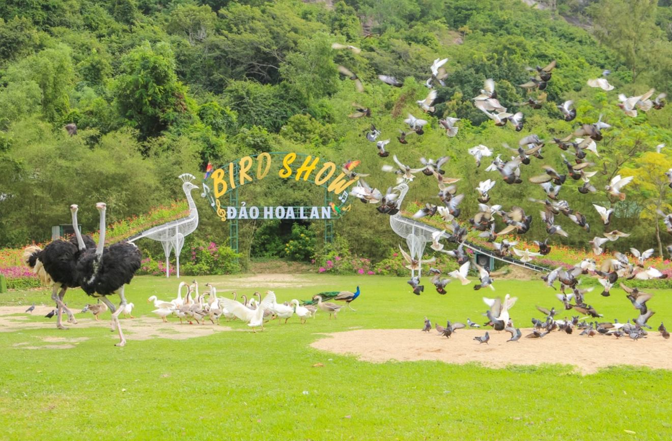 Chương trình biểu diễn chim