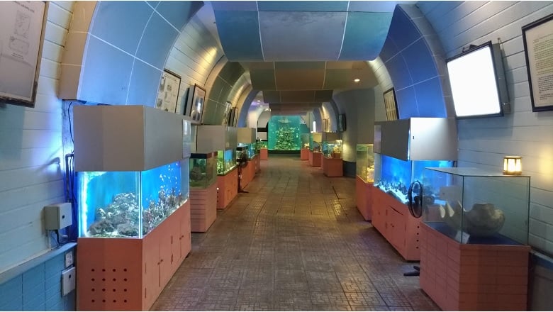베트남 국립 해양 박물관